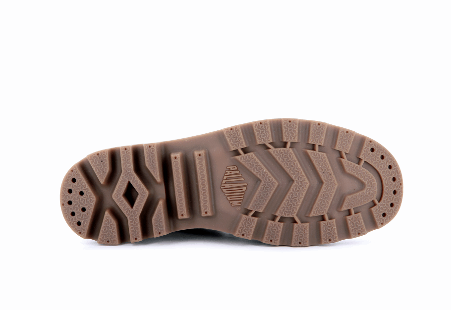 Grande Pampa Marrom Oi Cera Paládio