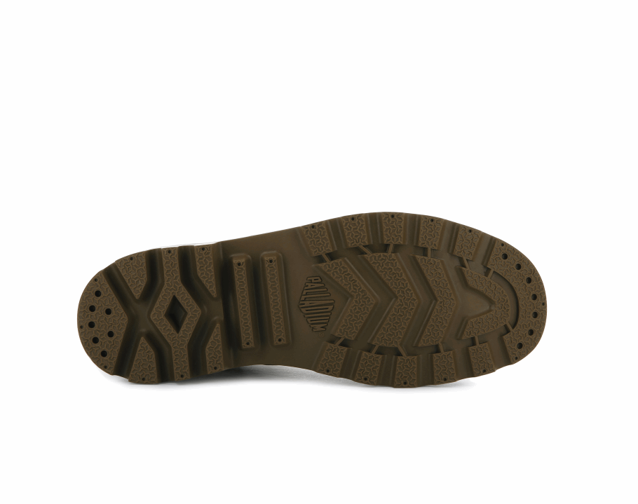 Paládio Pampa Oi Piloto Mogno