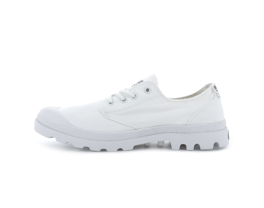 Paládio Pampa Boi Orgânico Estrela Branca