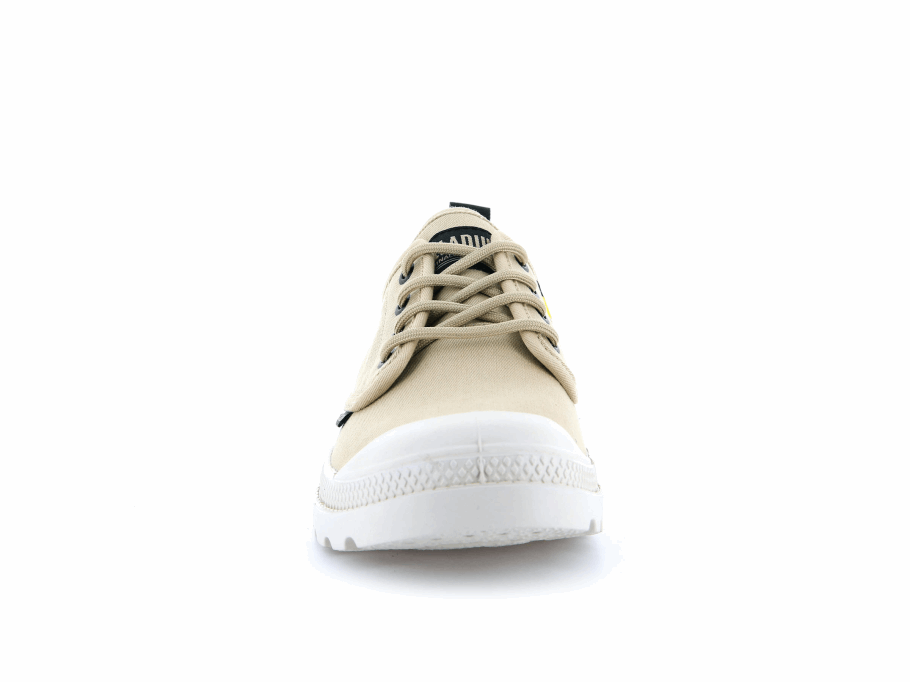 Paládio Pampa Oxford Património Abastecimento Deserto