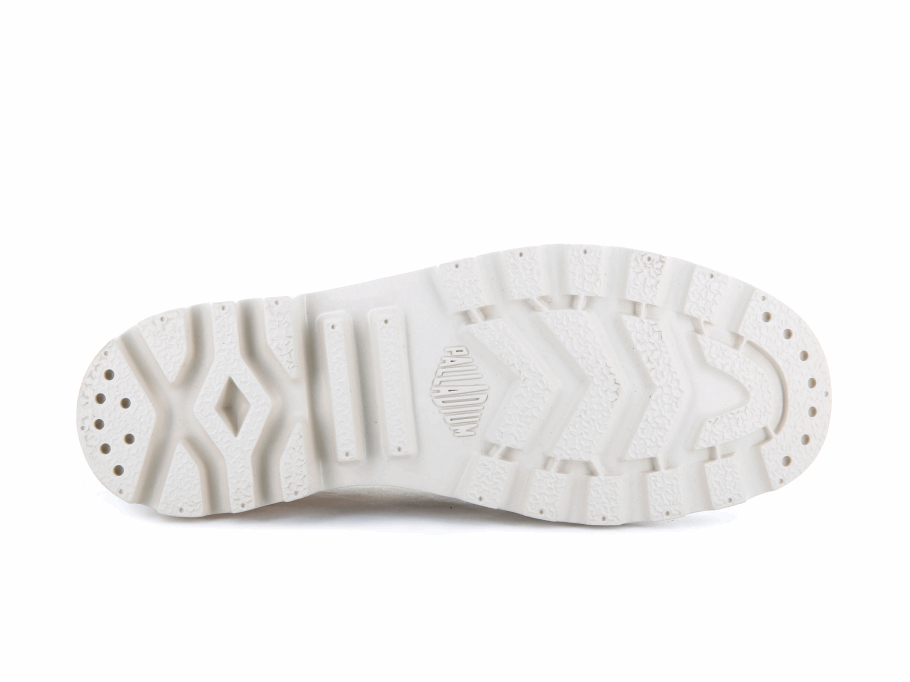 Paládio Pampa Oxford Património Abastecimento Deserto