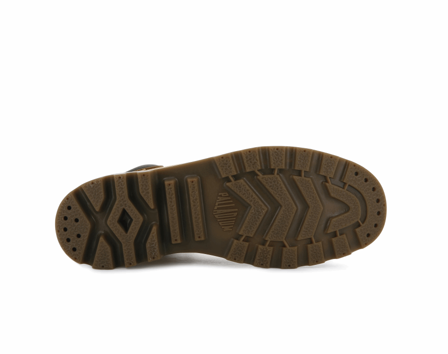 Escudo Pampa De Paládio Wp Lux âmbar Ouro