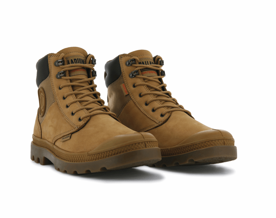 Escudo Pampa De Paládio Wp Lux âmbar Ouro